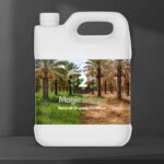 Magic Power – Palm & Date Formula