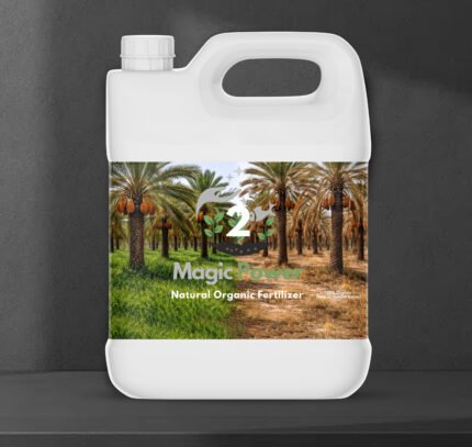 Magic Power – Palm & Date Formula