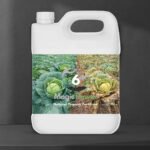 Magic Power – Leafy Vegetables Formula