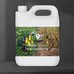 Magic Power – Aubergine & Solanaceae Formula