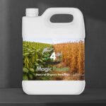 Magic Power – Legumes Formula