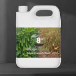 Magic Power – Cucurbits Formula