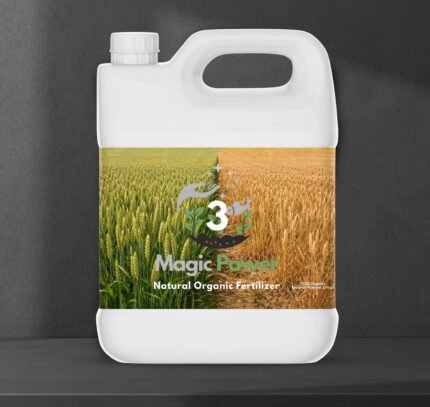 Magic Power – Cereals & Grains Formula